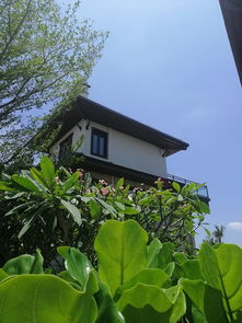 国瑞云龙湖项目湖畔瞰景及园林绿化配套实景拍摄图赏析