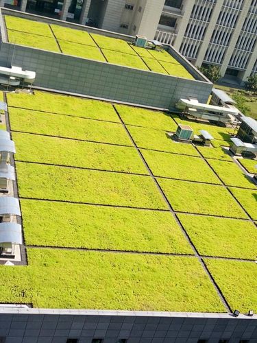 海绵城市建设屋顶绿化验收攻略 园林绿化要点全解析